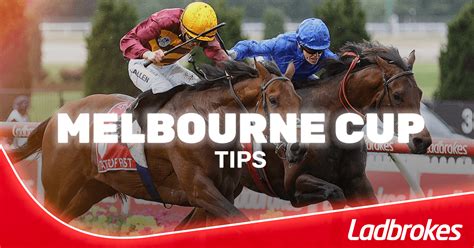 melbourne cup 2023 favourites|Melbourne Cup Odds 2024 .